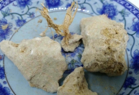 胡桐泪