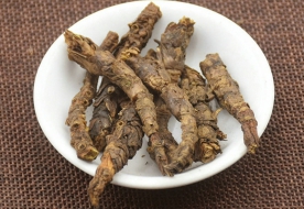 胡黄连
