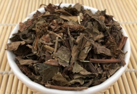 鱼腥草