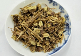 白薇