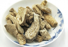 南沙参